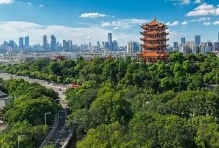 6月16号世界杯法国-法国队世界杯征程，6月16日的期待与回顾